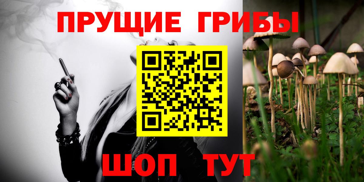 Красноармейск  Псилоцибиновые грибы Magic Shrooms  Вход с VPN 